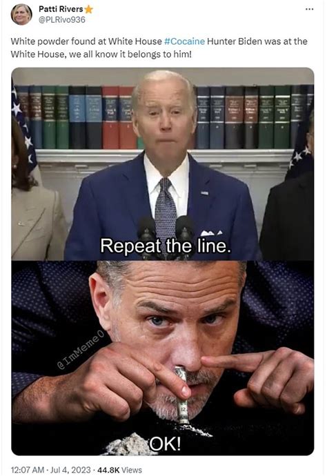 One <b>meme</b> showed Al Pacino's iconic Scarface character and the words: '<b>Hunter</b> <b>Biden</b> chillin at the White House' Still, Americans took to Twitter to make light of the issue and share <b>memes</b> mocking. . Hunter biden meme